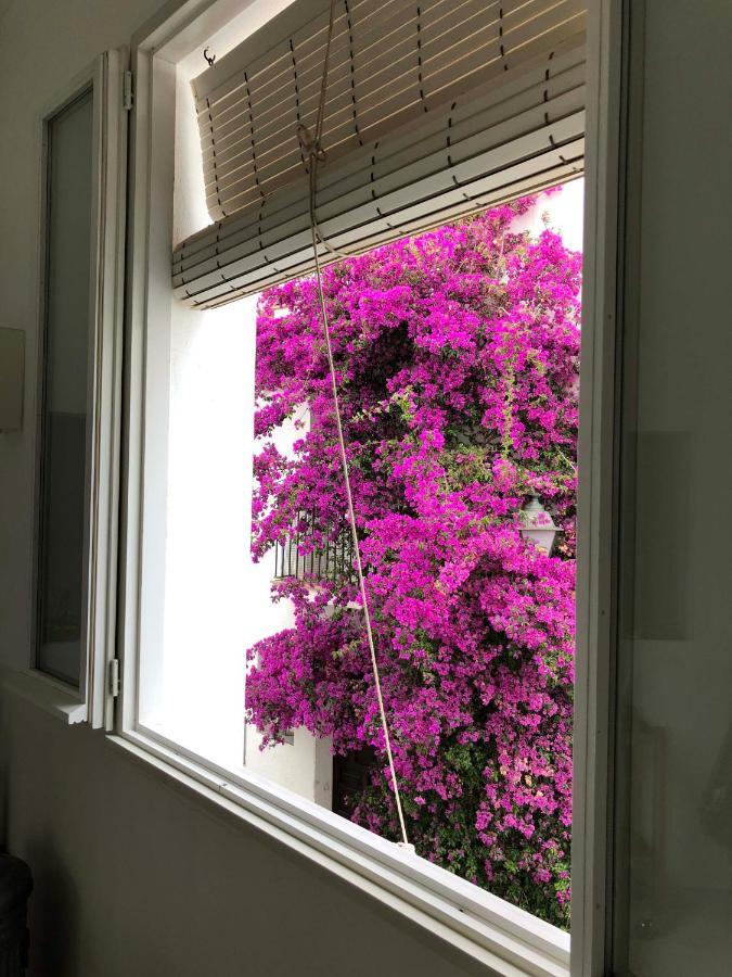 Centric Townhouse Cadaques - Casa Voltes - Βίλα Εξωτερικό φωτογραφία